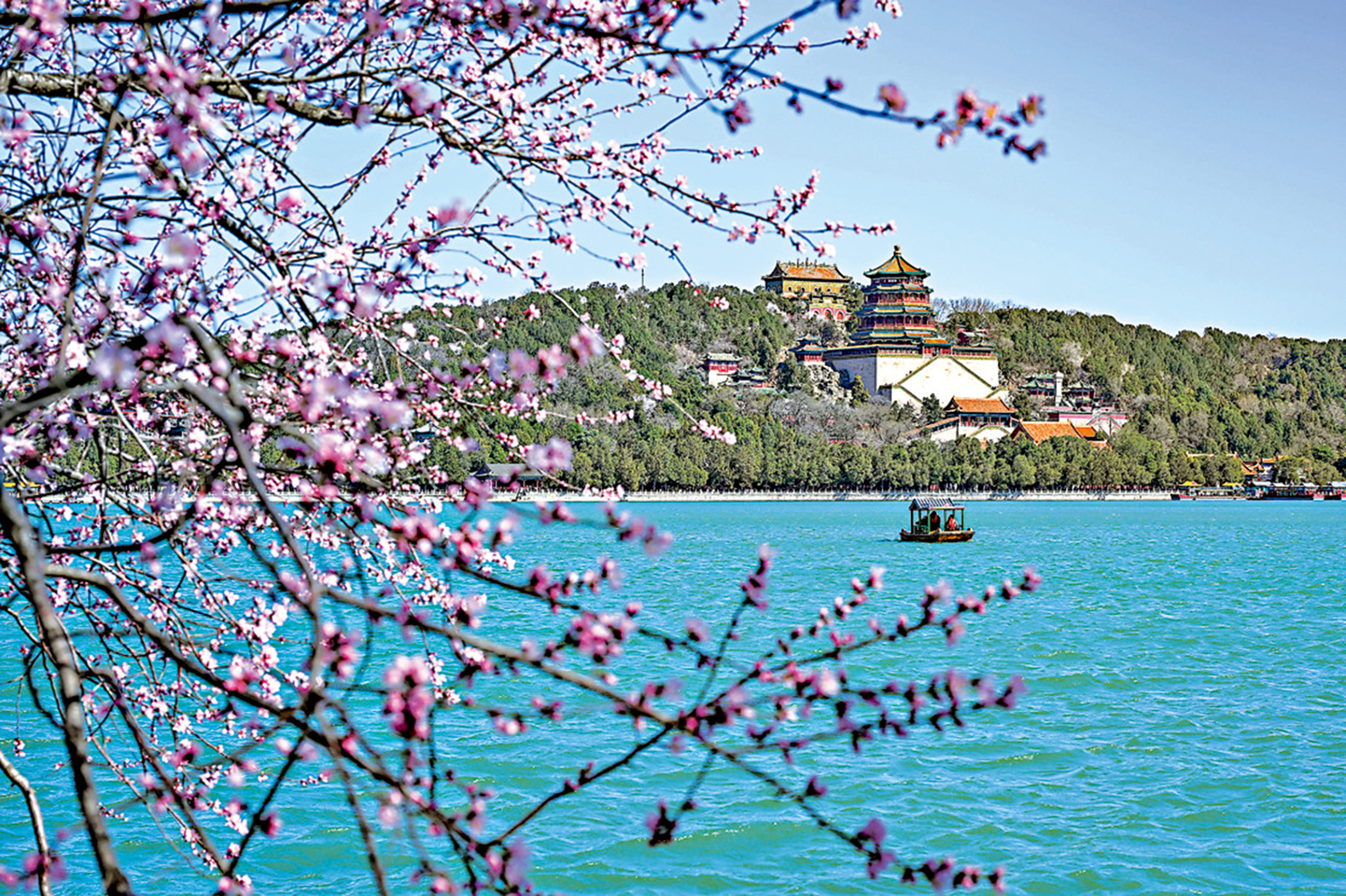 　　圖：遊客在北京頤和園乘船賞花遊玩。\資料圖片