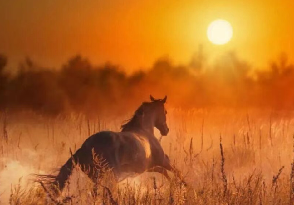 王法明|2026年，我们依然坚守时间的刻度