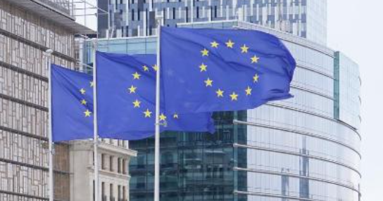 比利时调查&ldquo;利用AI视频冒充王室骗钱&rdquo;团伙