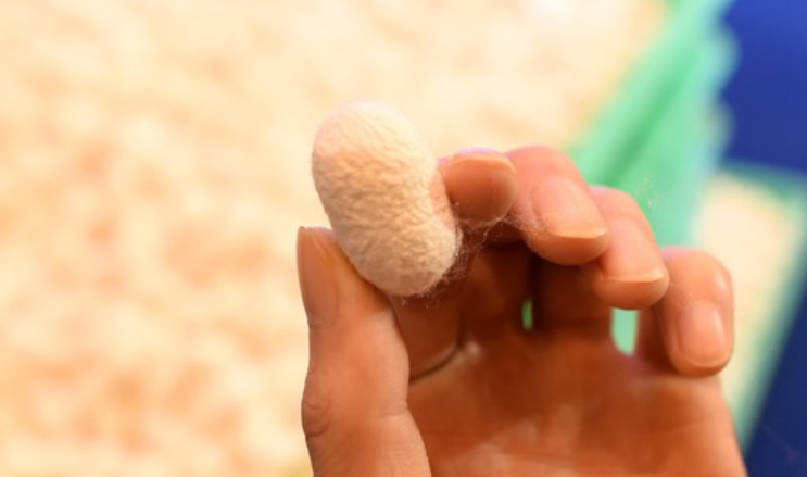 培育96家&ldquo;科技新小龙&rdquo;，浙江这样干