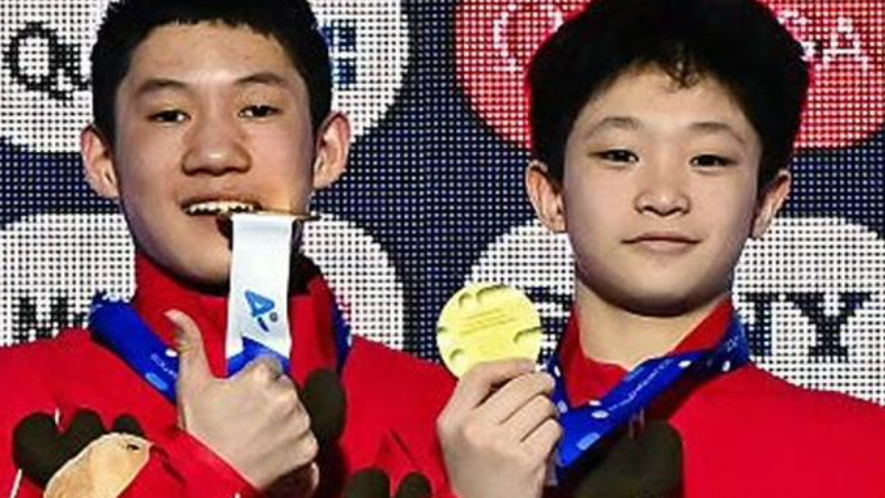 跳水世界杯蒙特利尔站：中国队包揽9金