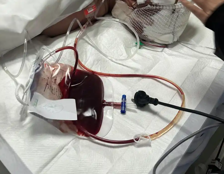 王法明：交通事故处理制度破坏了社会公平