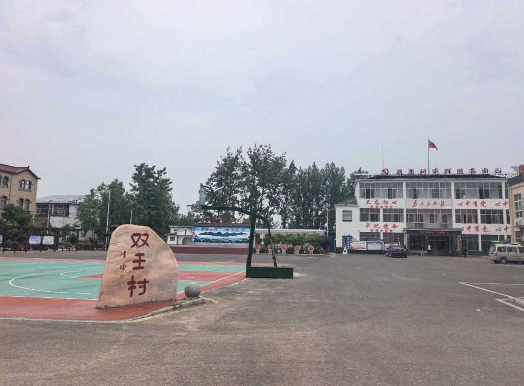 双王村&ldquo;变形记&rdquo;